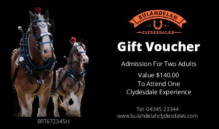 Gift Voucher - Two Adults - Value $140.00